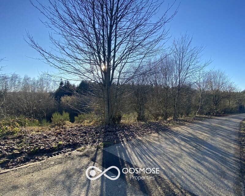 Terrain de 32a av projet de 6 habitations passives - Img 2878