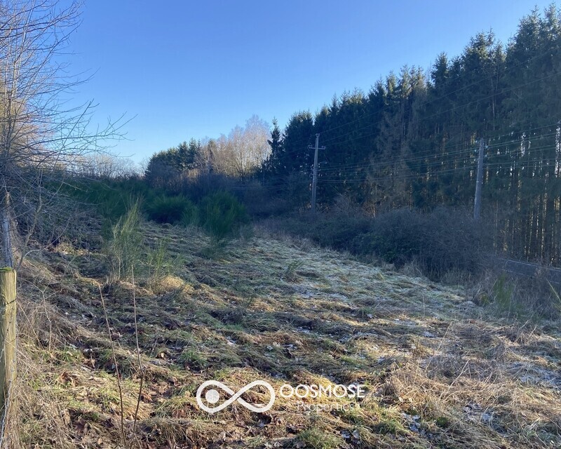 Terrain de 32a av projet de 6 habitations passives - Img 2874