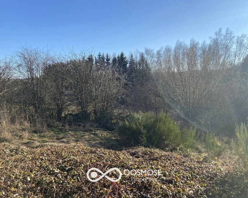 Terrain de 32a av projet de 6 habitations passives - Img 2877