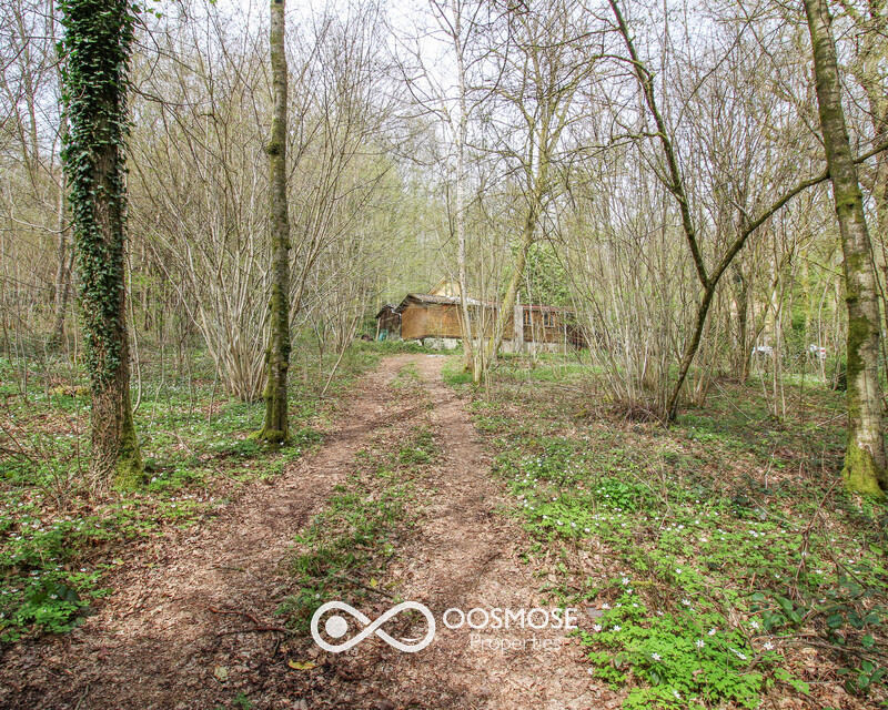 Chalet sur 26 ares au coeur de la forêt  - Img 2040-2