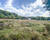 Terrain de 35a 77ca - Quartier calme proche de tout - Img 6219-2