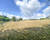 Terrain de 35a 77ca - Quartier calme proche de tout - Img 6216-2
