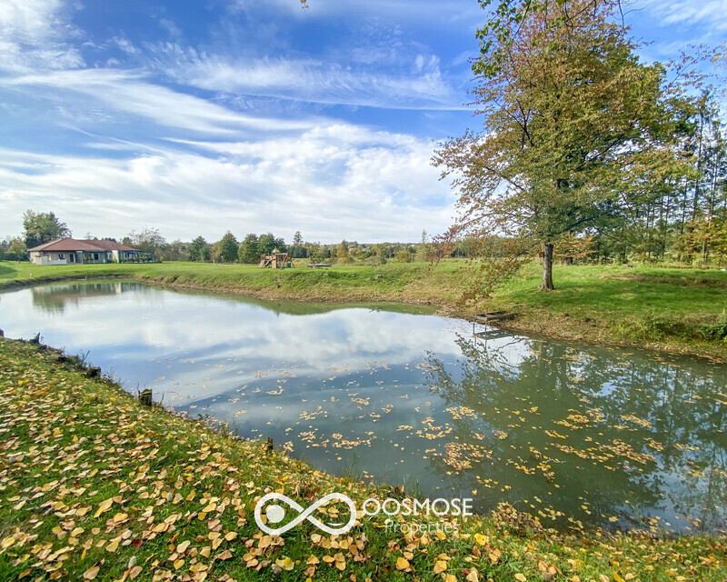 France - 10' front. - Villa plain-pied - 1ha av étang & piscine - Img 6764-2