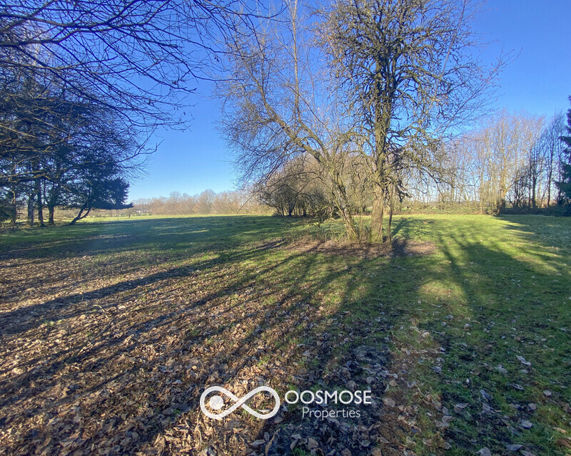 Propriété de 381m2 sur 3ha au milieu des campagnes - Img 7796-2