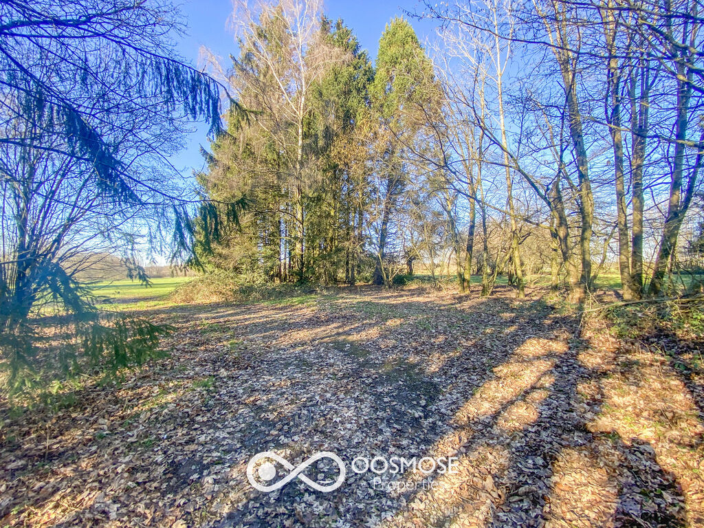 Propriété de 381m2 sur 3ha au milieu des campagnes - Img 7794-2