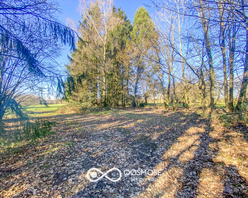Propriété de 381m2 sur 3ha au milieu des campagnes - Img 7794-2