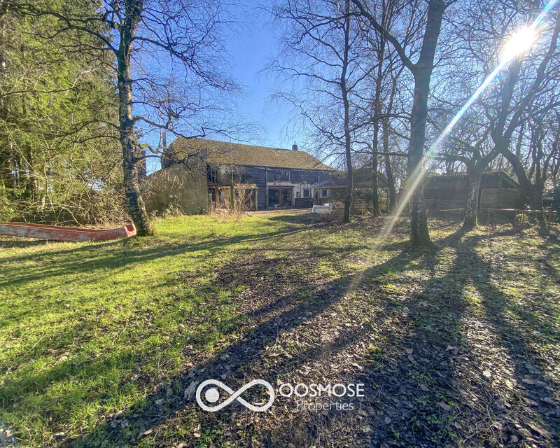 Propriété de 381m2 sur 3ha au milieu des campagnes - Img 7801-2