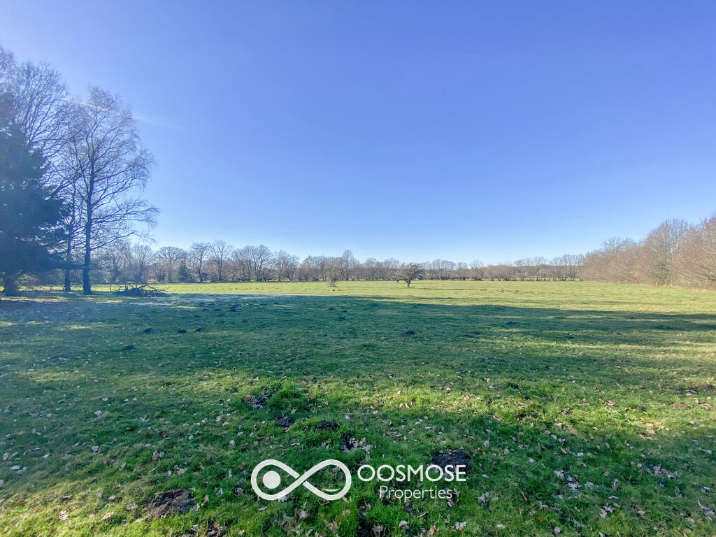 Propriété de 381m2 sur 3ha au milieu des campagnes - Img 7797-2
