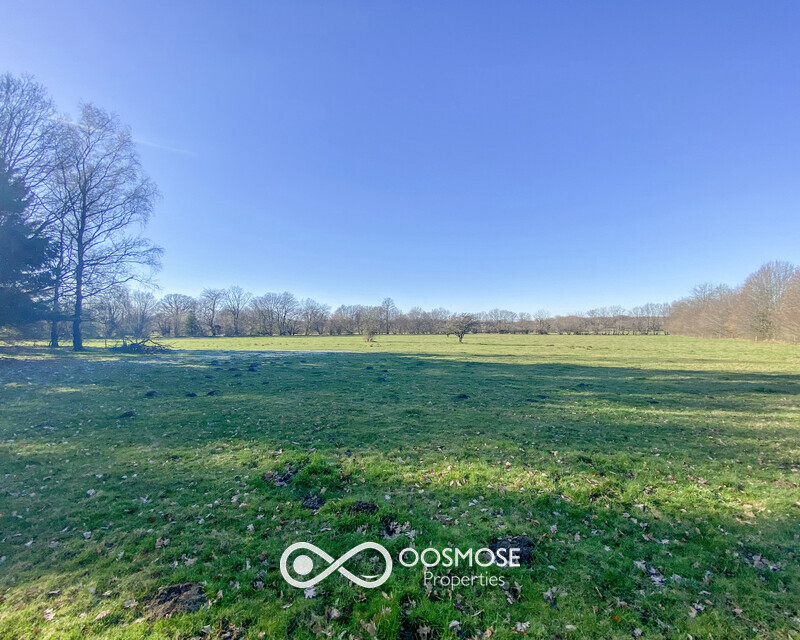 Propriété de 381m2 sur 3ha au milieu des campagnes - Img 7797-2