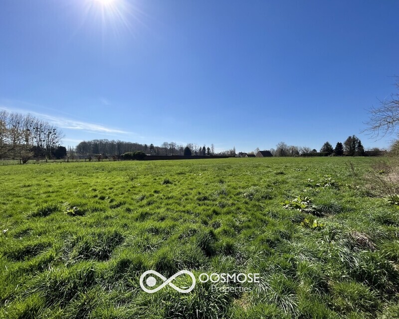 Propriété avec hangar, écurie et plus d'1ha de terrain - Img 3650