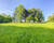 France/15' Belg. - Fermette av grange & 3 box. chevaux sur 2ha  - Img 8885-2