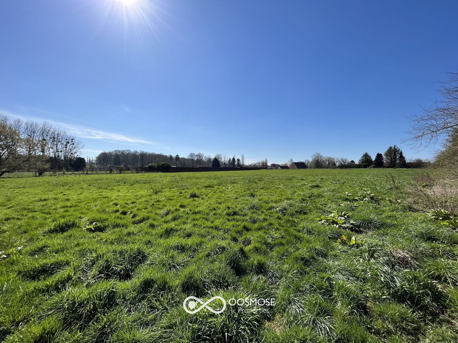 Propriété avec hangar, écurie et plus d'1ha de terrain - Img 3650