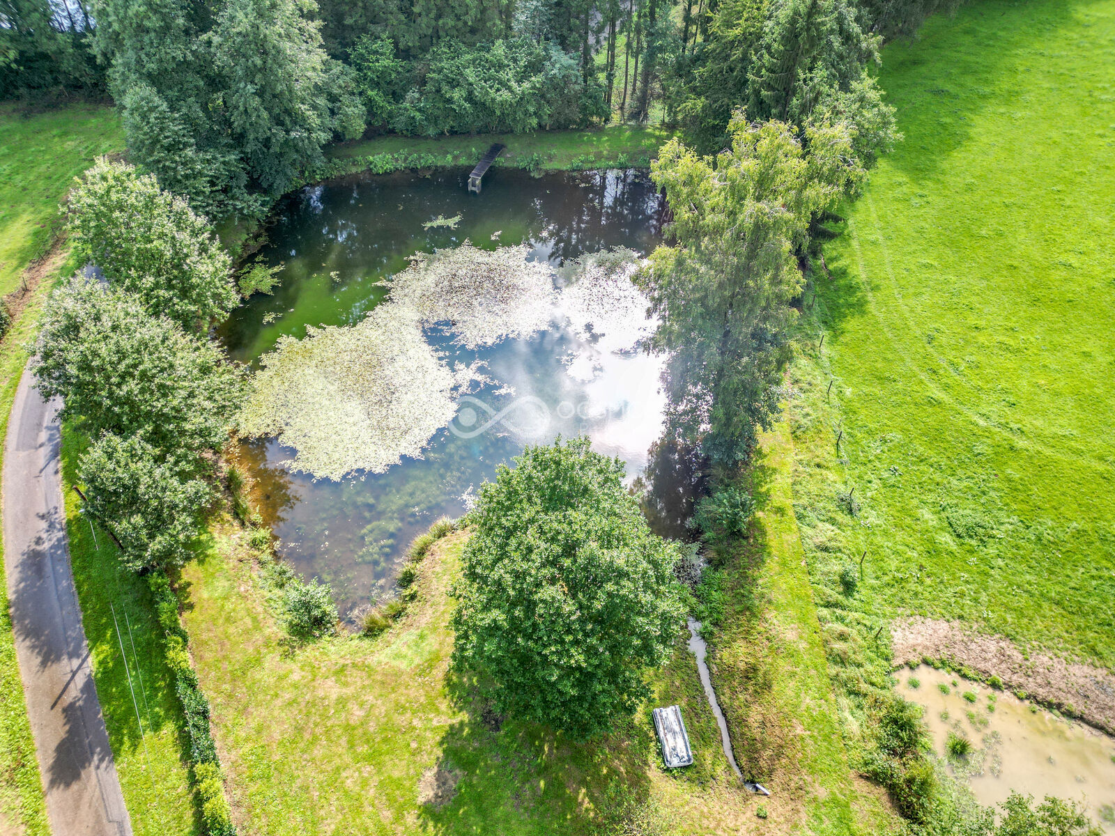 Brognon (FR) - Etang sur terrain de 29a 20ca - Dji 0088-2
