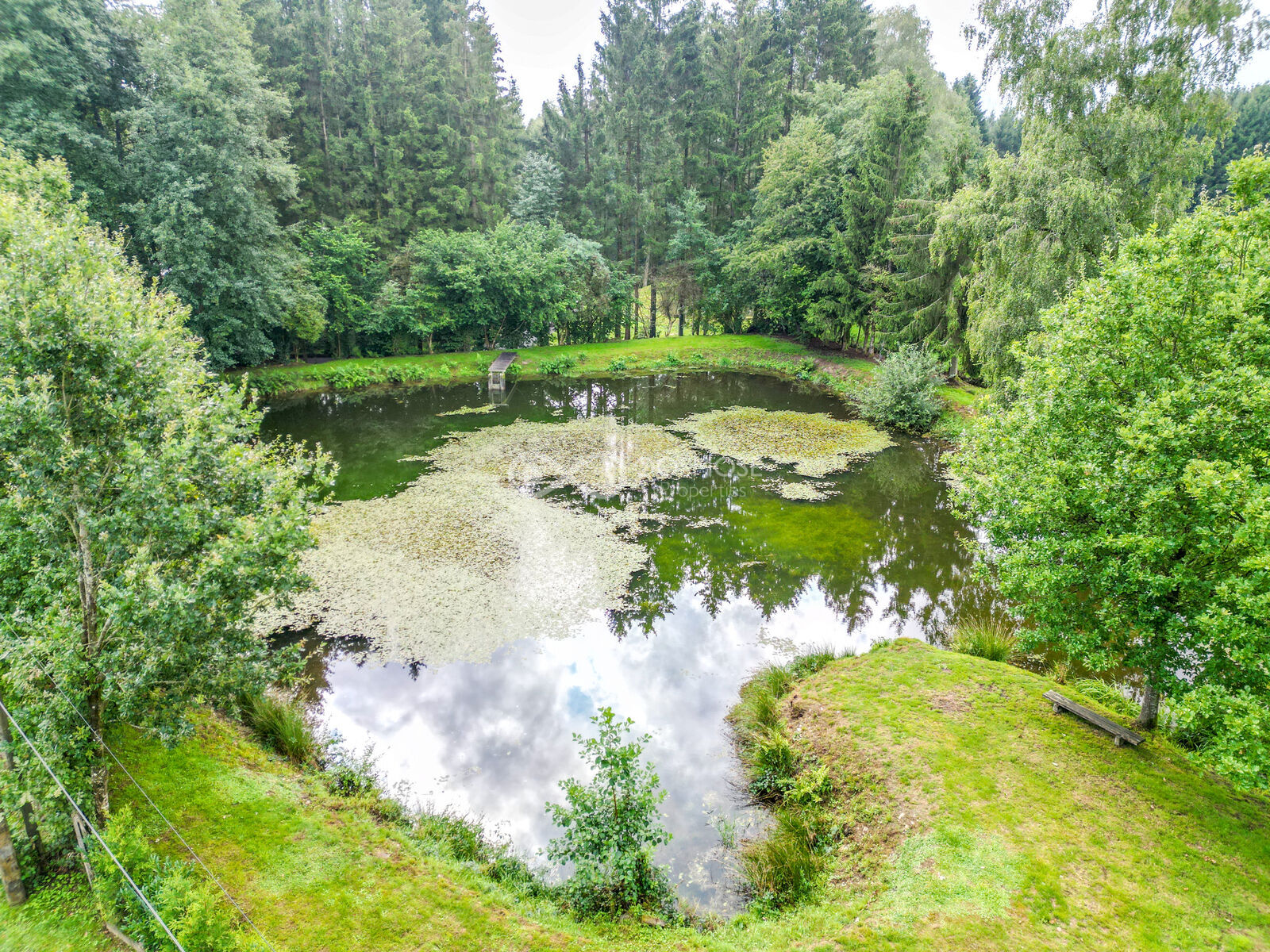 Brognon (FR) - Etang sur terrain de 29a 20ca - Dji 0096-2
