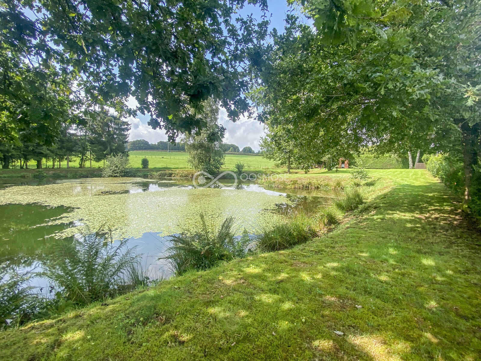 Brognon (FR) - Etang sur terrain de 29a 20ca - Img 9623-2