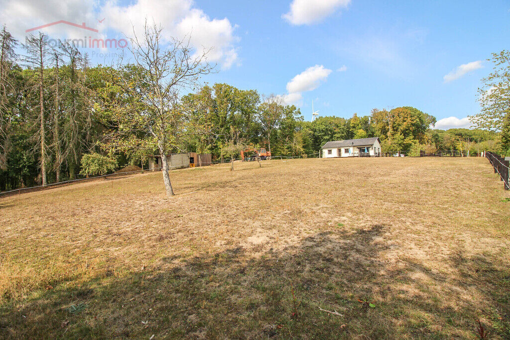 Villa plain-pied sur 1ha 89a avec garages et boxes pour chevaux - Img 5902-2