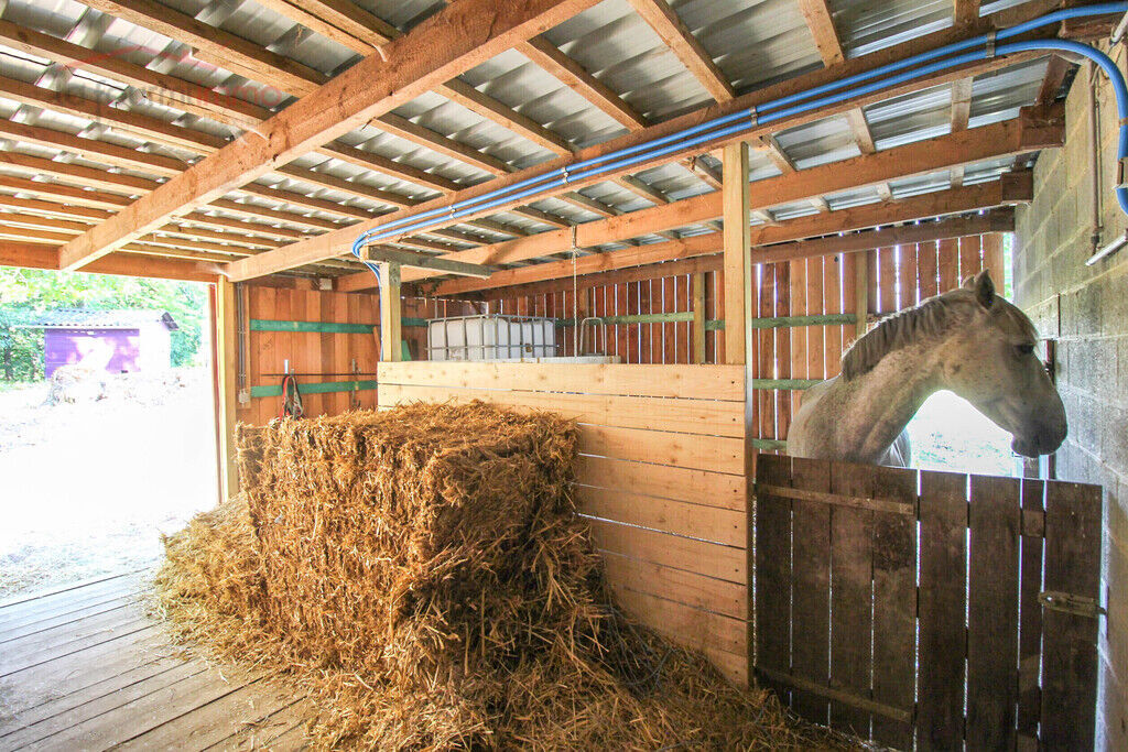 Villa plain-pied sur 1ha 89a avec garages et boxes pour chevaux - Img 5190-2
