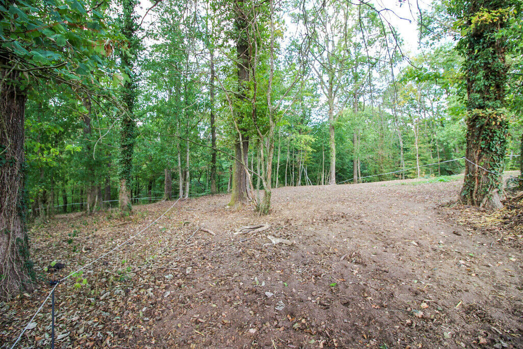 Villa plain-pied sur 1ha 89a avec garages et boxes pour chevaux - Img 5908-2