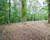 Villa plain-pied sur 1ha 89a avec garages et boxes pour chevaux - Img 5908-2