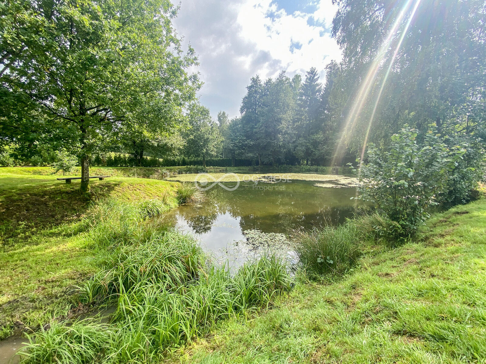 Brognon (FR) - Etang sur terrain de 29a 20ca - Img 9613-2