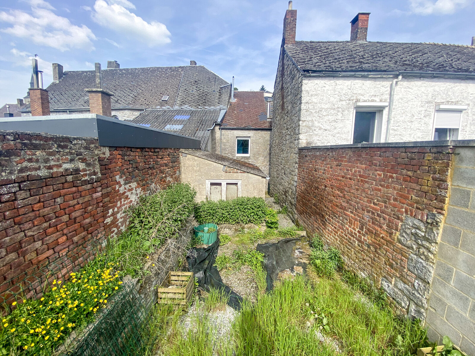 Maison av cour et jardin en centre-ville - Img 1568-2