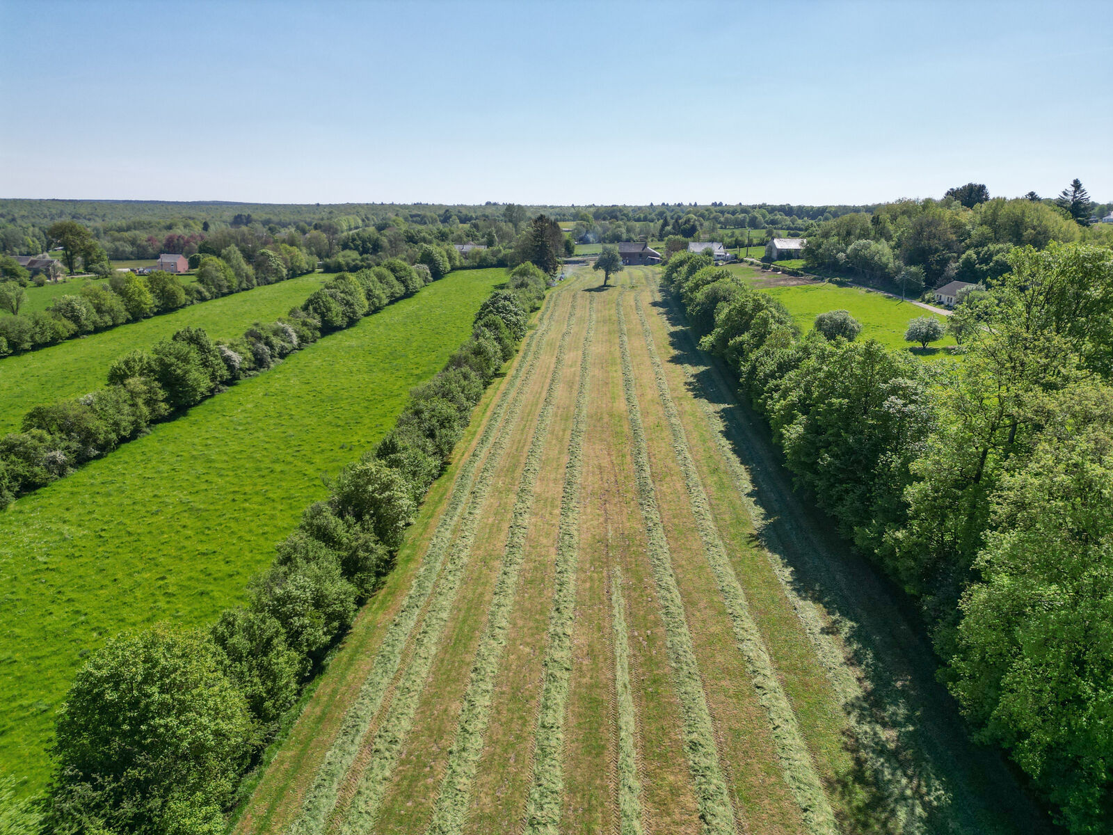 France/2' Belg. - Ancienne fermette avec garages, étable et granges sur 2 hectares - Dji 0225-2