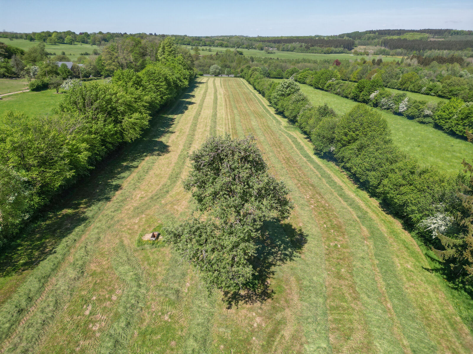 France/2' Belg. - Ancienne fermette avec garages, étable et granges sur 2 hectares - Dji 0223-2