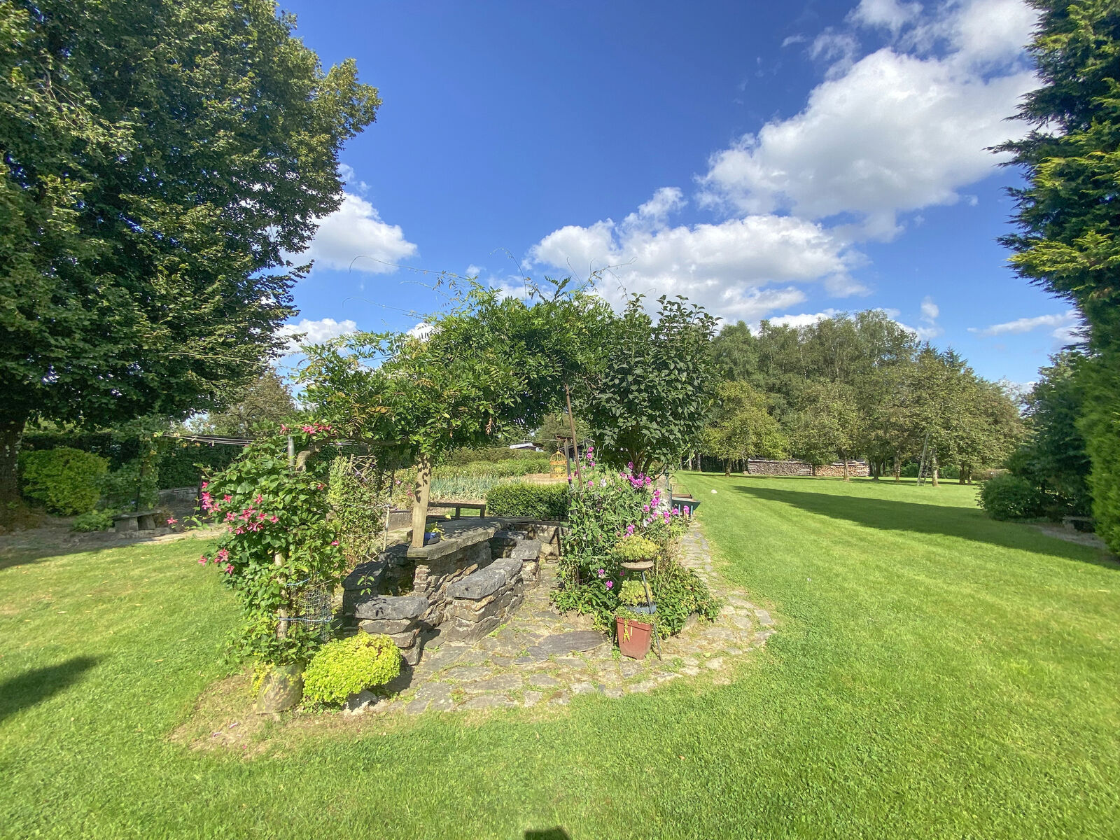 France/5' Belg. - Villa sur 4 hectares av étangs et ruisseau  - Img 2449-2