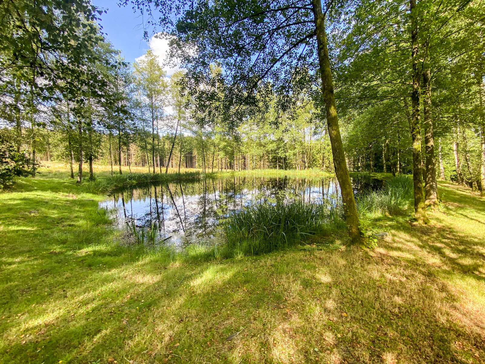 France/5' Belg. - Villa sur 4 hectares av étangs et ruisseau  - Img 2431-2