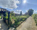 France/5' Belg. - Villa sur 4 hectares av étangs et ruisseau  - Img 2441-2