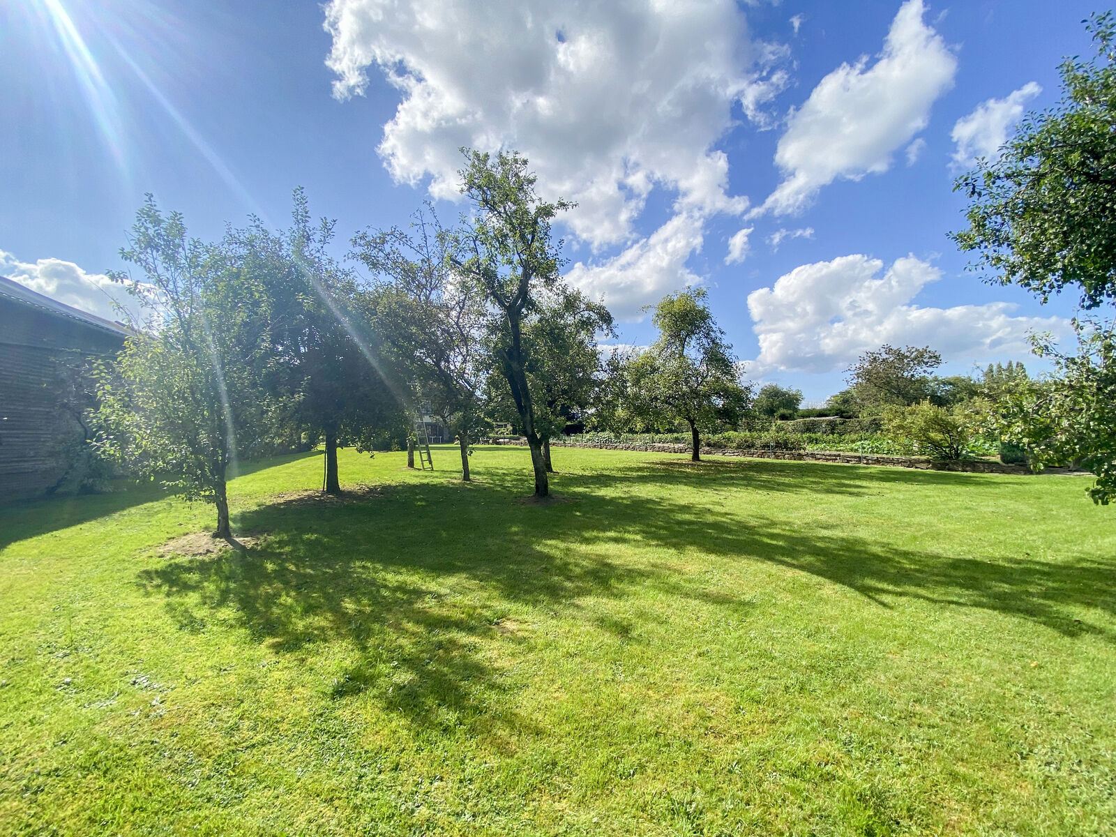 France/5' Belg. - Villa sur 4 hectares av étangs et ruisseau  - Img 2439-2