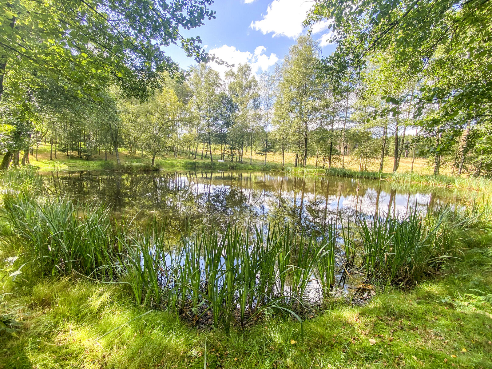 France/5' Belg. - Villa sur 4 hectares av étangs et ruisseau  - Img 2428-2