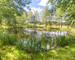 France/5' Belg. - Villa sur 4 hectares av étangs et ruisseau  - Img 2428-2