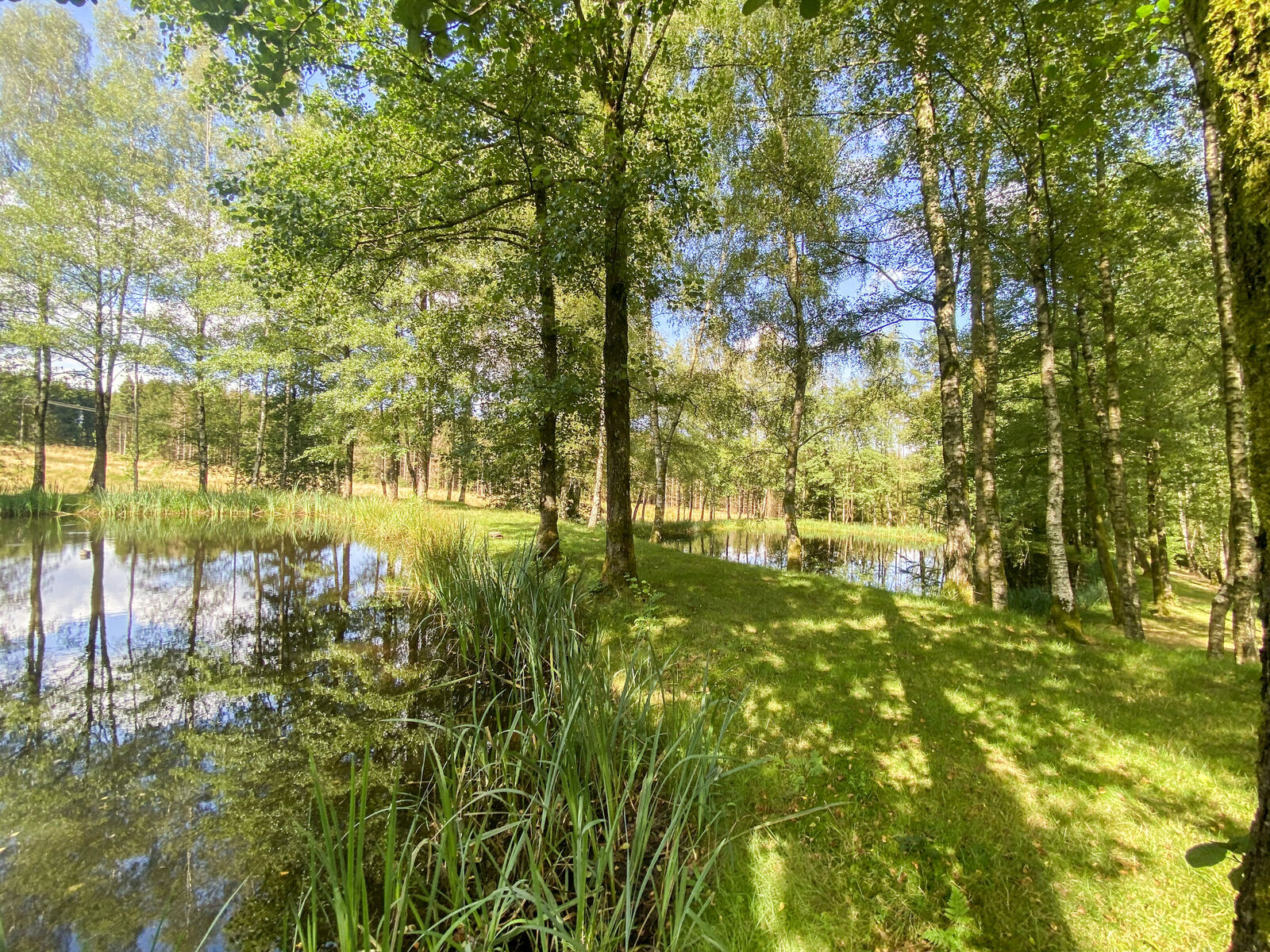 France/5' Belg. - Villa sur 4 hectares av étangs et ruisseau  - Img 2429-2