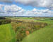 Bois de 2h 86a prox. Lacs de l'Eau d'Heure - Dji 0281-2