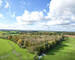 Bois de 2h 86a prox. Lacs de l'Eau d'Heure - Dji 0280-2
