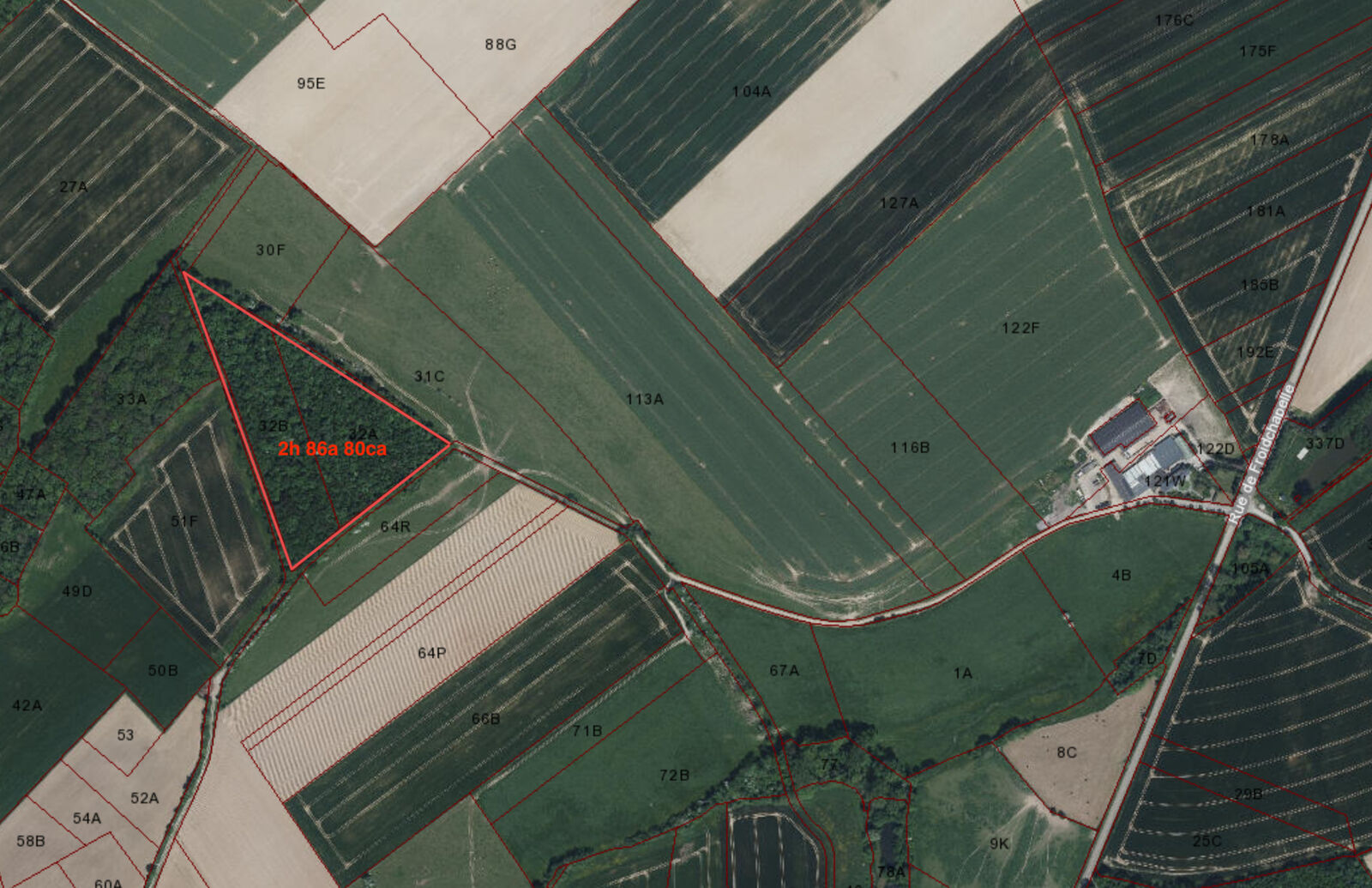Bois de 2h 86a prox. Lacs de l'Eau d'Heure - Sat2 - vergnies