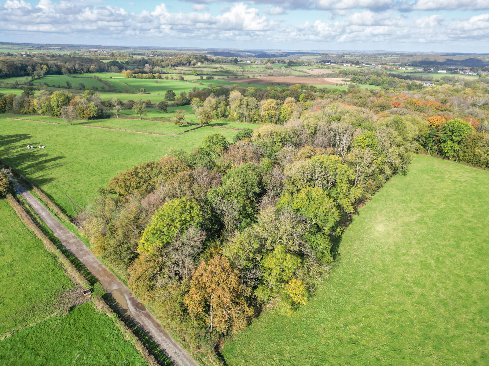 Terrain boisé de 44a 10ca - Dji 0287-2
