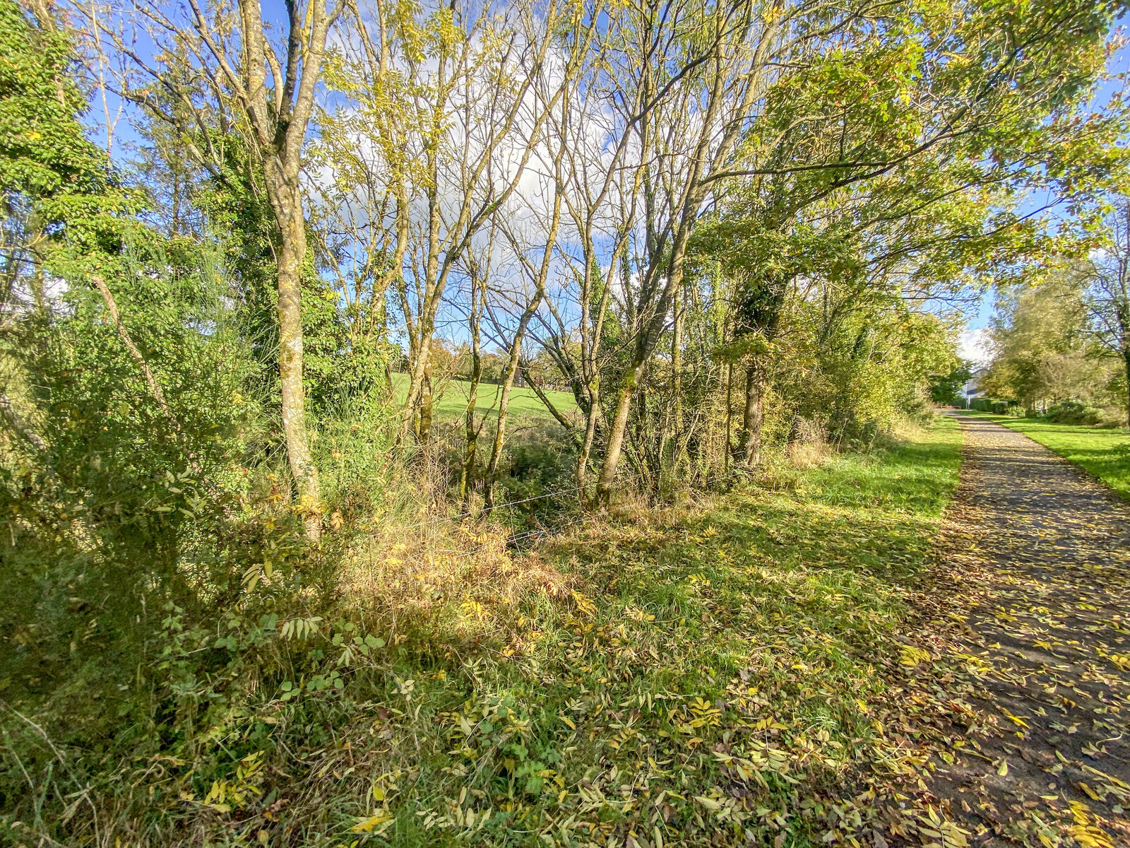 Terrain/prairie de 19a 30ca - Img 3211-2