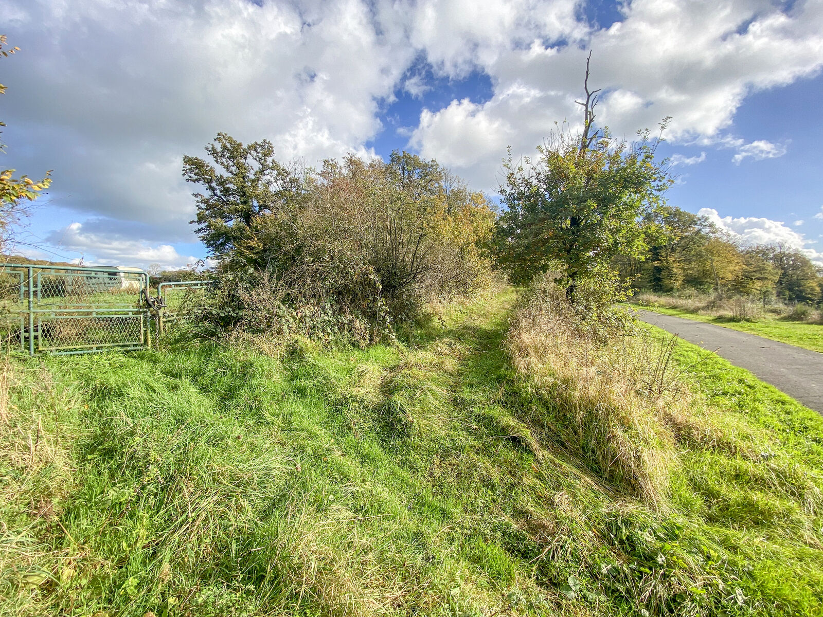 Terrain/prairie pour chevaux de 80a 30ca - Img 3193-2