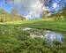 Terrain/prairie pour chevaux de 80a 30ca - Img 3207-2