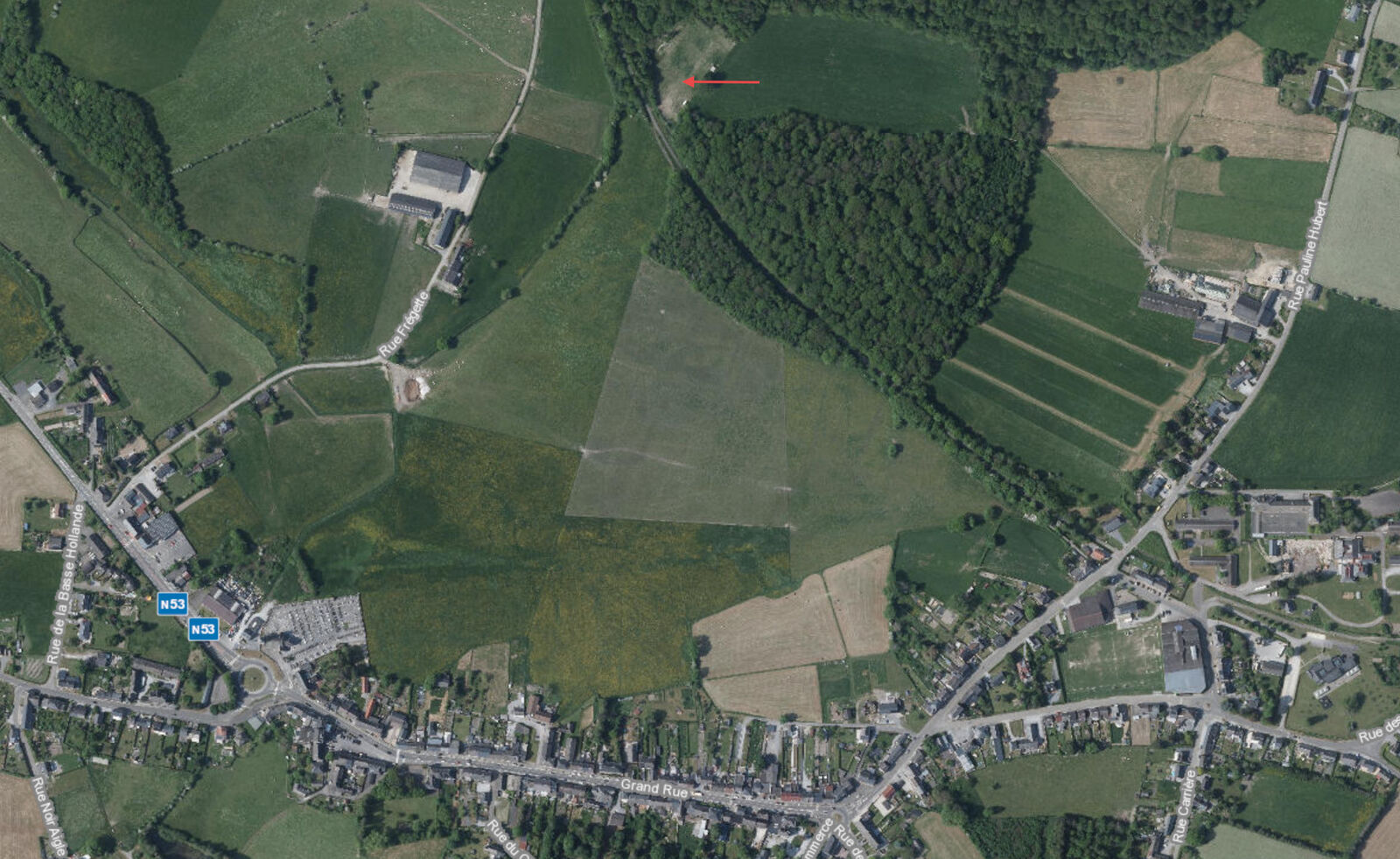 Terrain/prairie pour chevaux de 80a 30ca - Sat2 - rance
