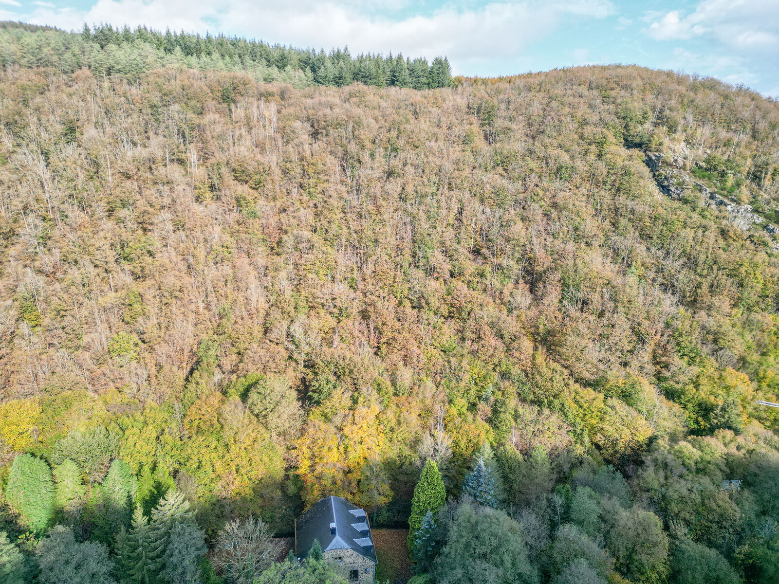 Propriété 4ch+ sur 6 hectares bordée par une rivière - Dji 0325-2