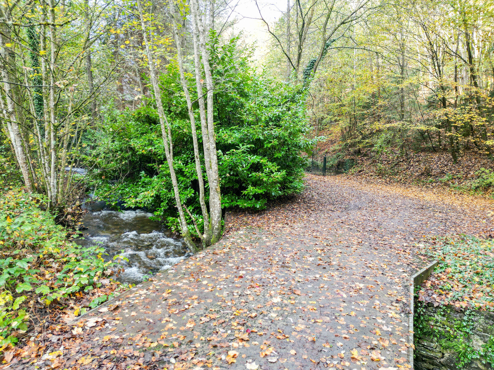 Propriété 4ch+ sur 6 hectares bordée par une rivière - Dji 0335-2