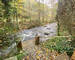 Propriété 4ch+ sur 6 hectares bordée par une rivière - Img 3302-2