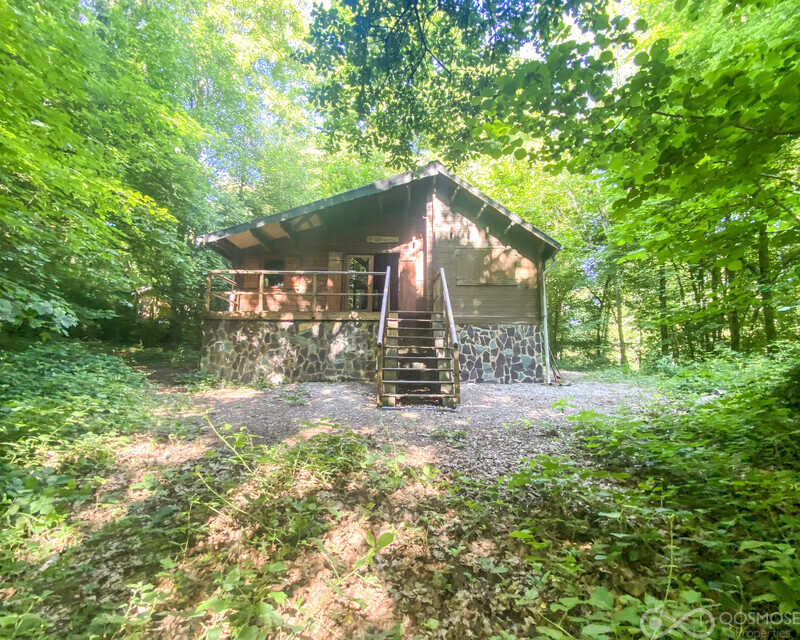 Chalet 2 ch au milieu des bois - Img 5116-2