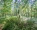 Chalet 2 ch au milieu des bois - Img 5112-2