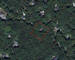 Chalet 2 ch au milieu des bois - Sat - nobertins 194 - oignies 