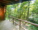 Chalet 2 ch au milieu des bois - Img 5117-2