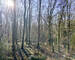 Chalet 2 ch au milieu des bois - Img 4026-2